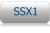 SSX1
