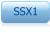SSX1