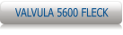 VALVULA 5600 FLECK